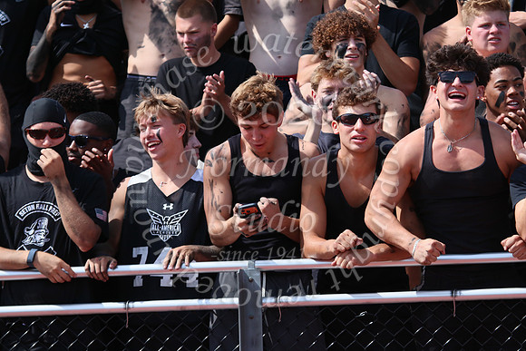 SHP_fans_40
