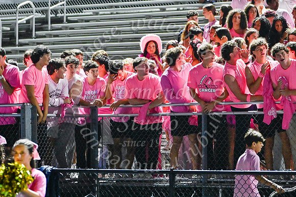 SPF_fans_13