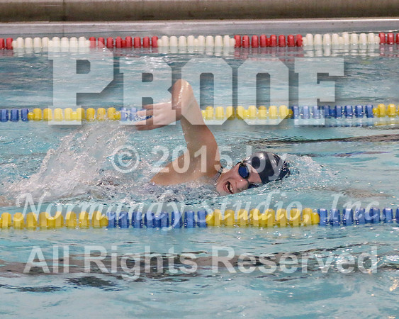 WMC_055_sw-g
