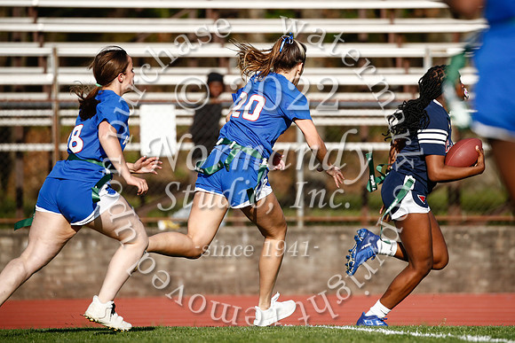 WHS_flag_fb_55