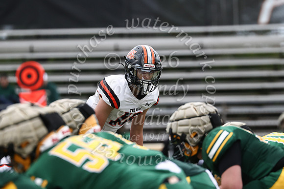 SVL_fb_jv-41