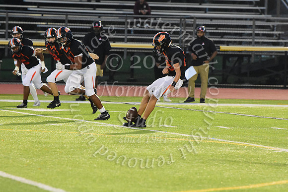 SVL_fb_21