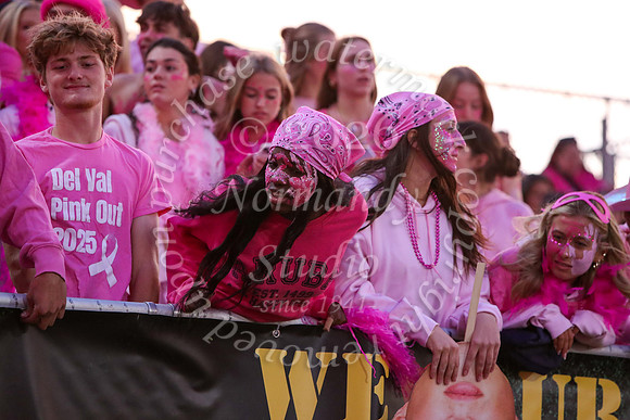 DVH_fans_41