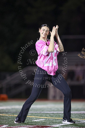 MAT_dt_2_25