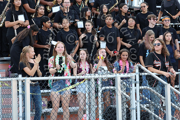 SVL_mb_in_stands_09