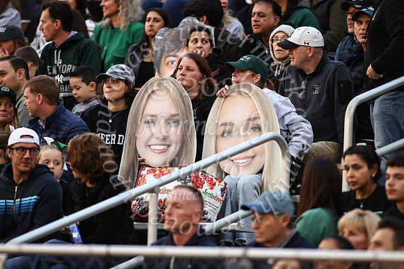 RDG_fb_fans_29