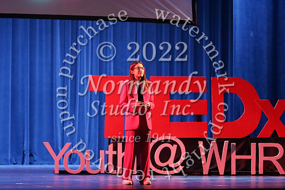 WTG_TEDx_55