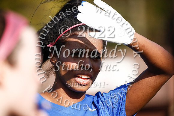 WHS_flag_fb_57
