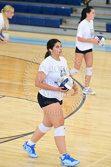 WMC_vb-g_24