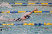 WMC_004_sw-g