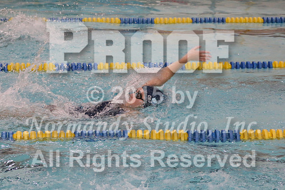 WMC_004_sw-g
