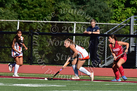 SVL_fh_43