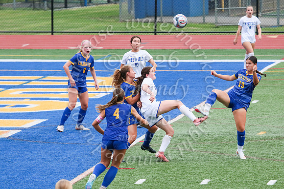 WHS_so-g_05
