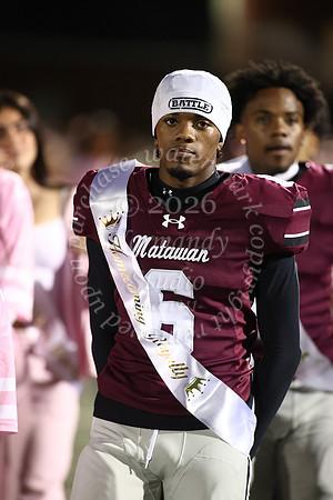 MAT_hc_2_8