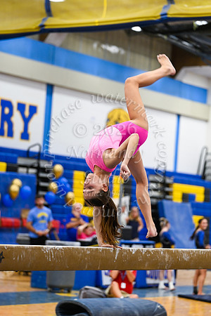 CHS_gy_09