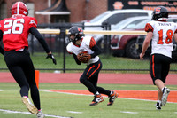 SVL_fb-f_19