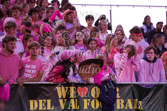 DVH_fans_08