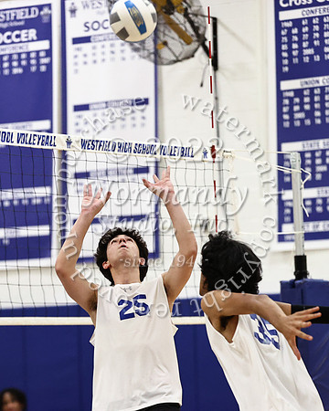 WHS_vb_b_v_74