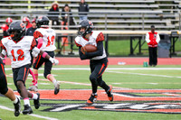 SVL_fb-f_06