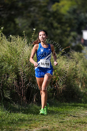 WHS_cc-g_17