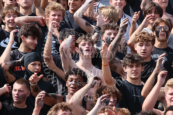SHP_fans_26