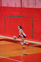 MSM_vb_15