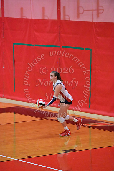 MSM_vb_15