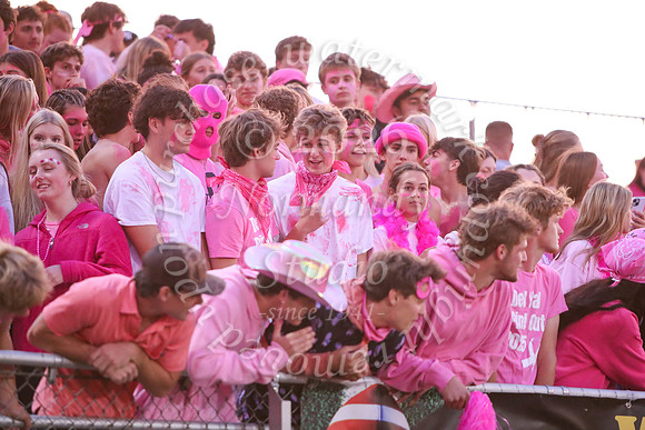 DVH_fans_38