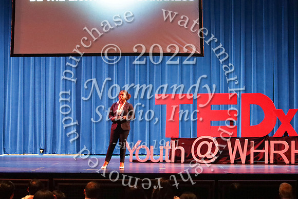 WTG_TEDx_09