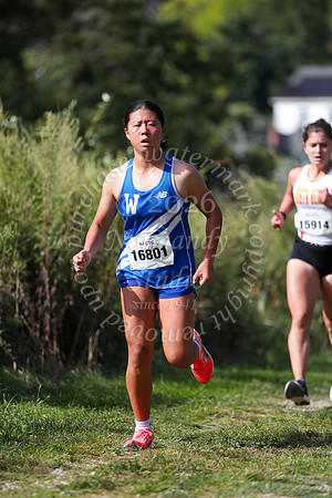 WHS_cc-g_11