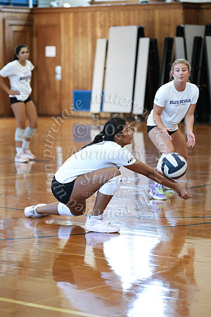 WHS_vb_g_-3