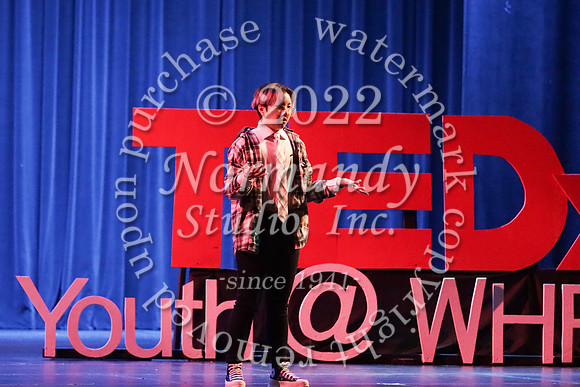 WTG_TEDx_32