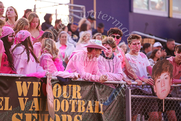 DVH_fans_35