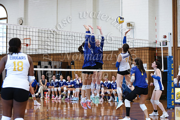 WHS_vbg_137