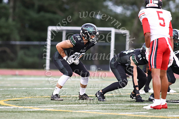 RDG_fb_32