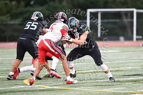 RDG_fb_36