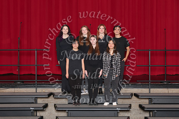 CHS_gala_groups_28
