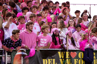 DVH_fans_09