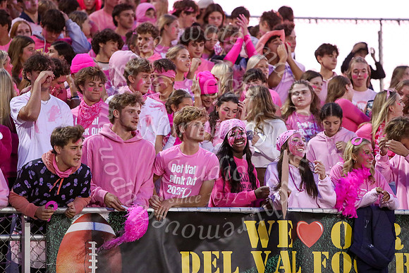 DVH_fans_09