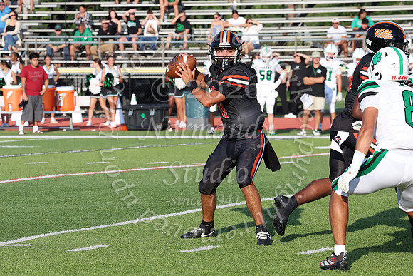 SVL_fb_027