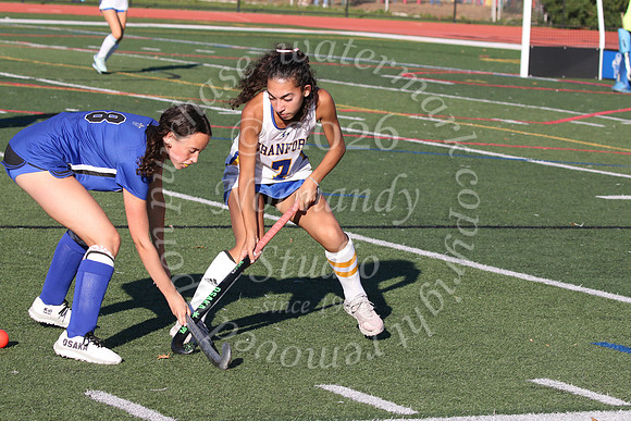 CHS_fh_13