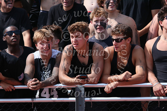 SHP_fans_31