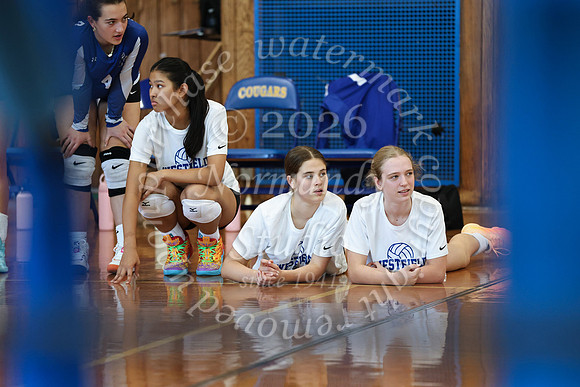 WHS_vb_g_-44