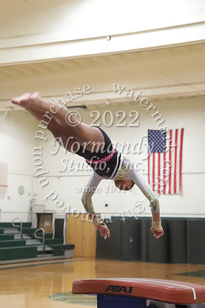 TIM_2219