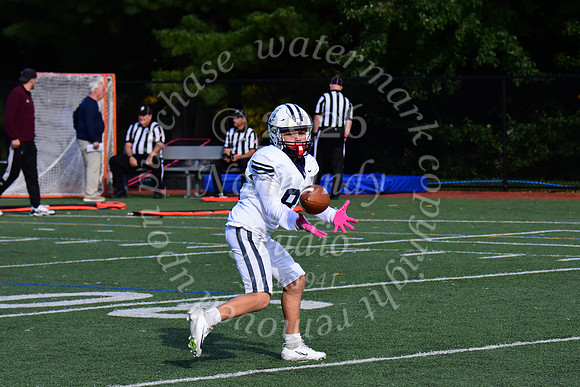 SHP_fb-j_30