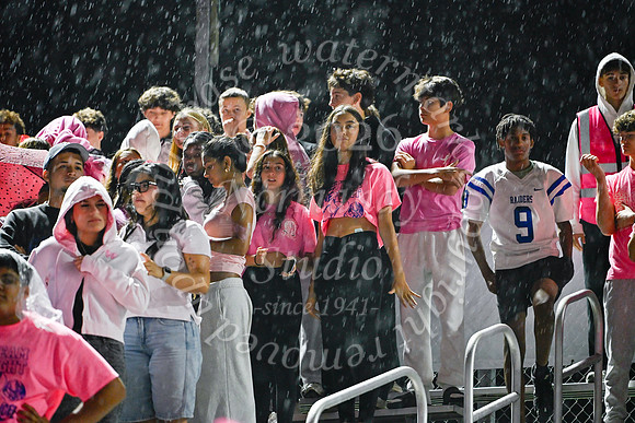 SPF_fans_27