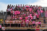 SVL_fans_11