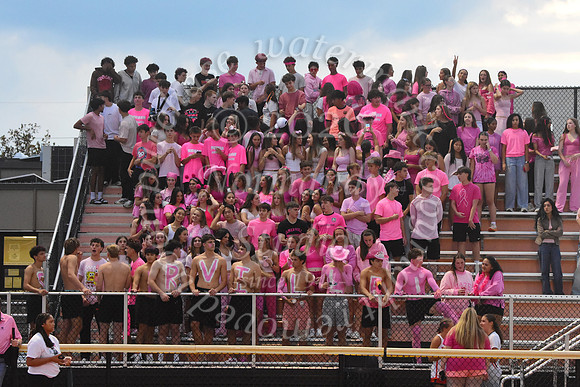 SVL_fans_11