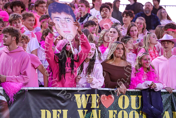 DVH_fans_06