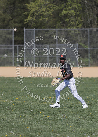SVL_bb-f_44